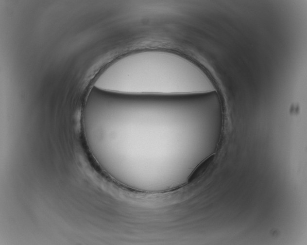 X0000111610019200907171050