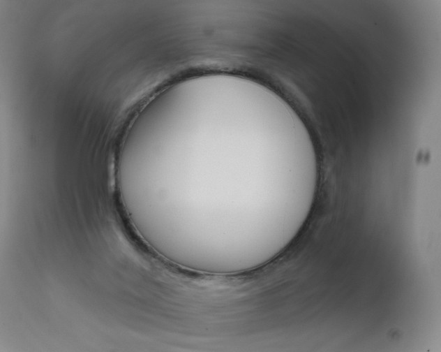 X0000111610020200907171050