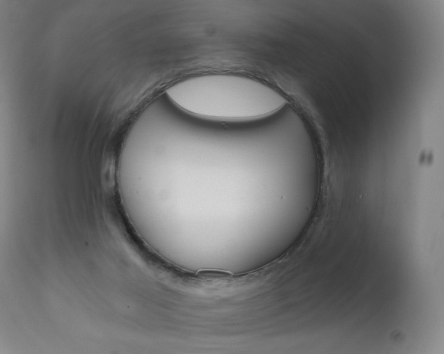 X0000111610021200907171050