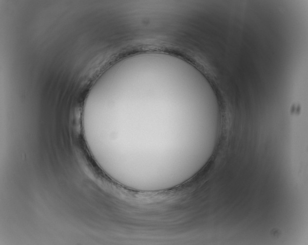 X0000111610022200907171050