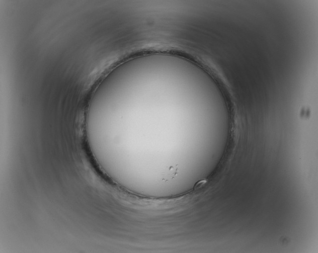 X0000111610023200907171050