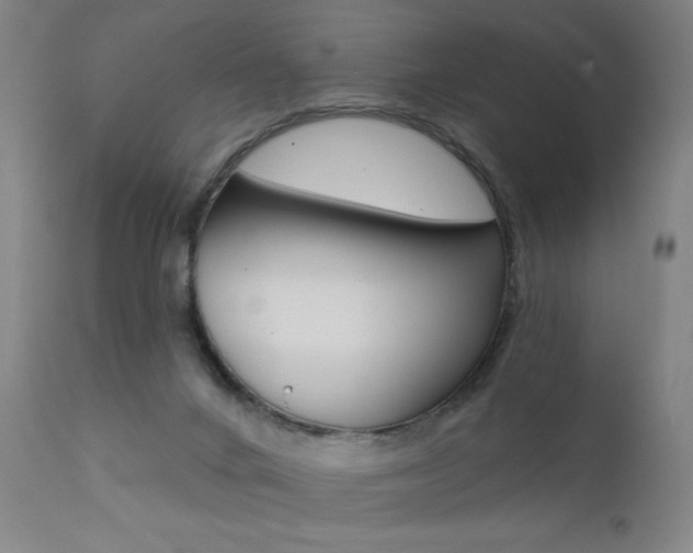 X0000111610024200907171050