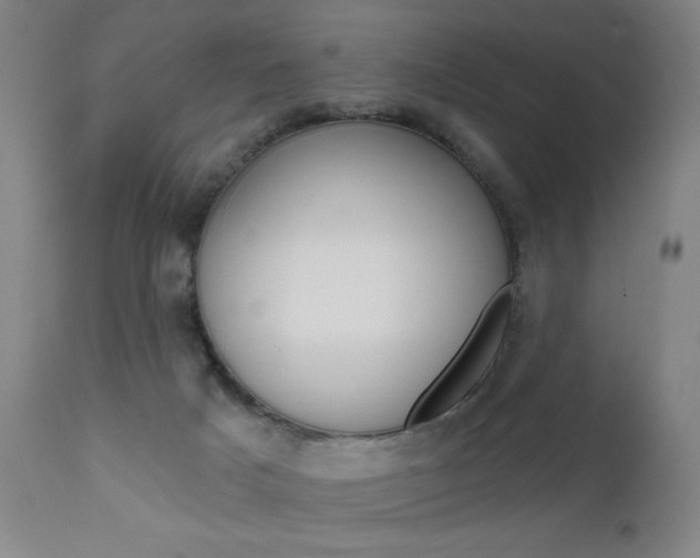 X0000111610025200907171050