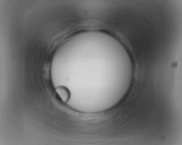 X0000111610026200907171050