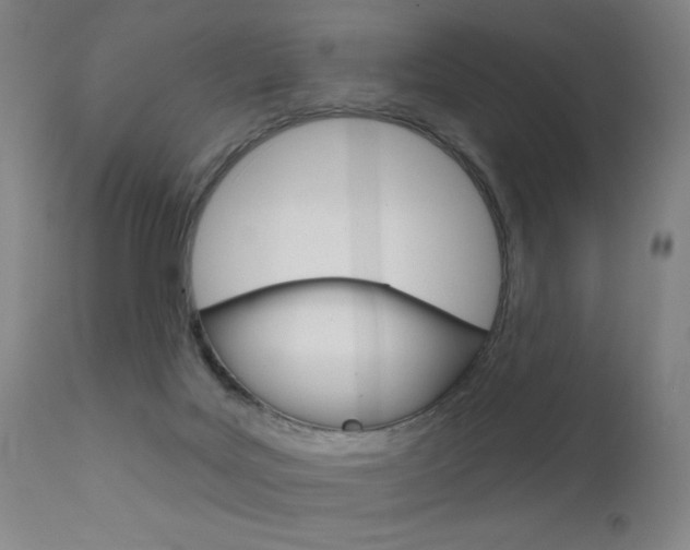X0000111610027200907171050