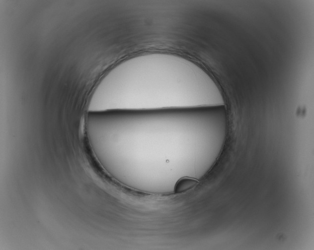 X0000111610028200907171050