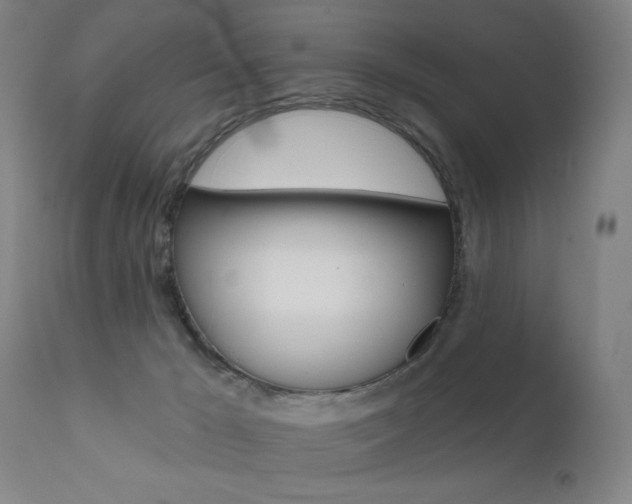 X0000111610029200907171050