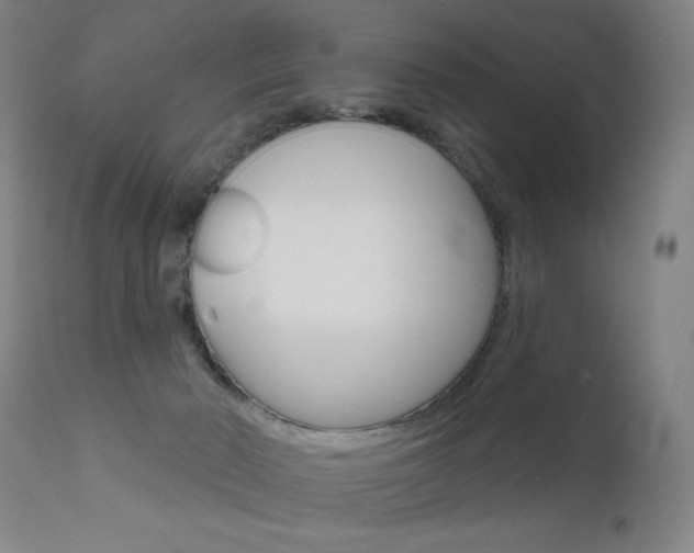 X0000111610030200907171050