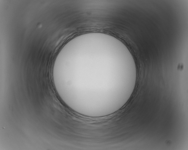 X0000111610035200907171050