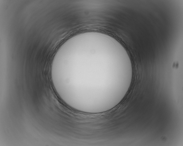 X0000111610036200907171050