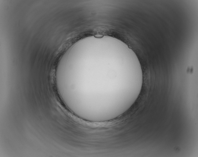 X0000111610038200907171050