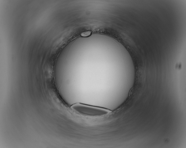 X0000111610039200907171050