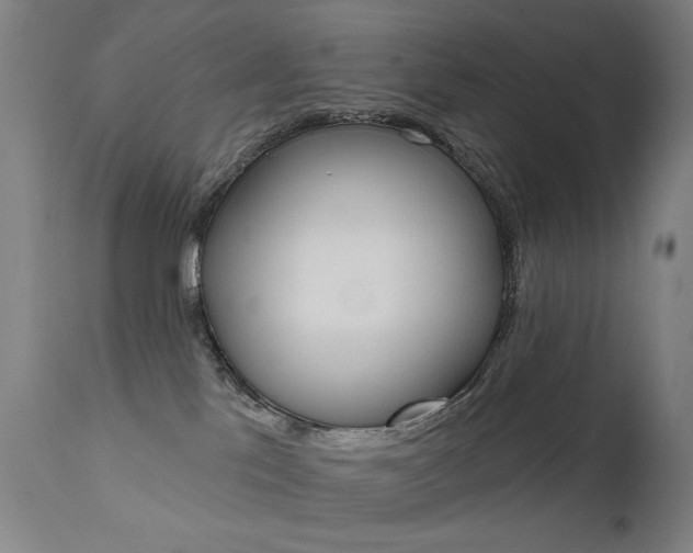 X0000111610041200907171050