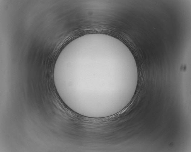 X0000111610045200907171050