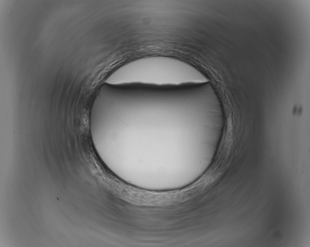 X0000111610048200907171050