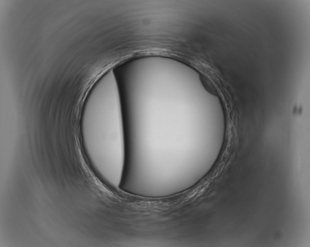 X0000111610049200907171049
