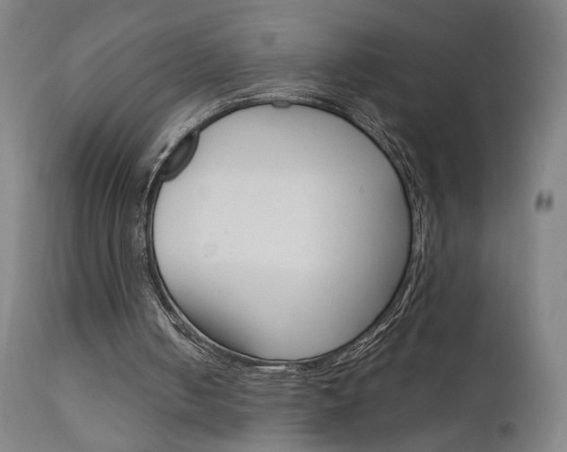 X0000111610050200907171049
