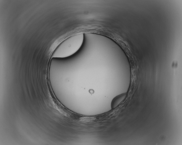 X0000111610051200907171049