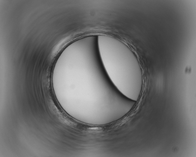 X0000111610053200907171049