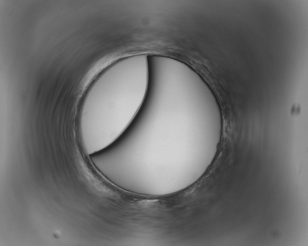 X0000111610054200907171049