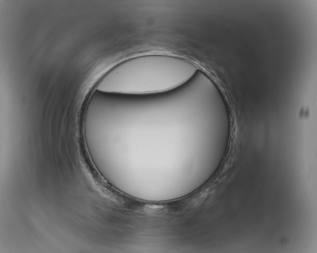 X0000111610055200907171049
