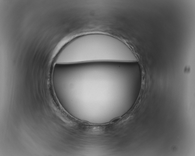 X0000111610056200907171049