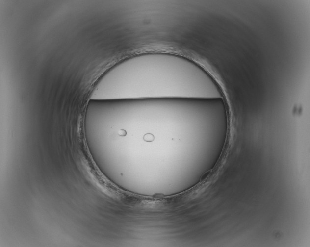 X0000111610057200907171049