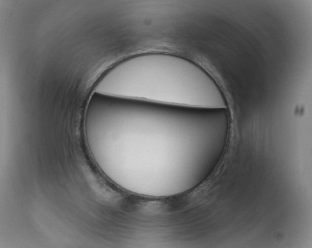 X0000111610058200907171049