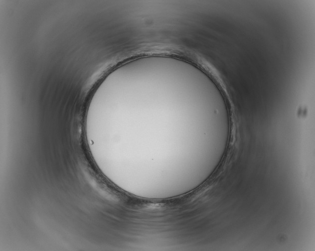 X0000111610059200907171049
