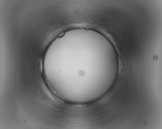 X0000111610061200907171049