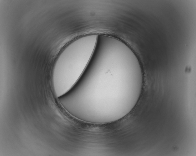 X0000111610062200907171049