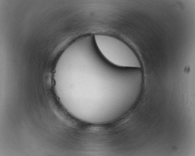 X0000111610067200907171049