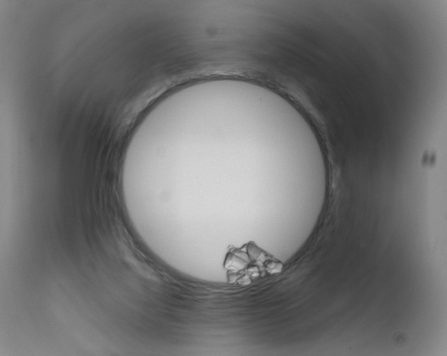 X0000111610068200907171049