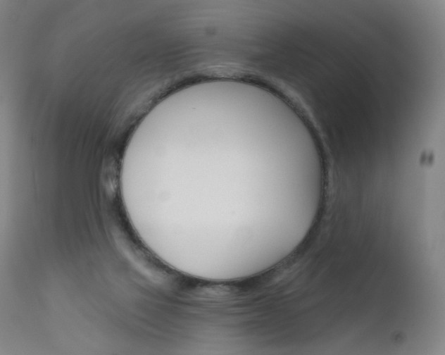 X0000111610069200907171049