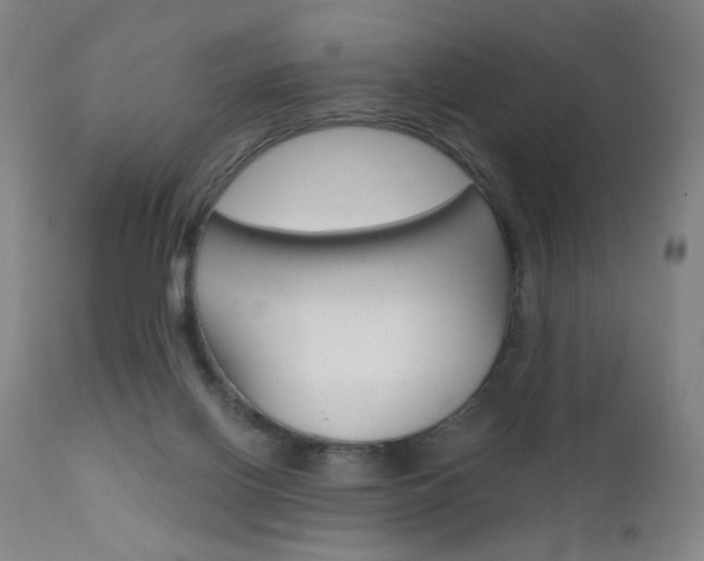 X0000111610070200907171049