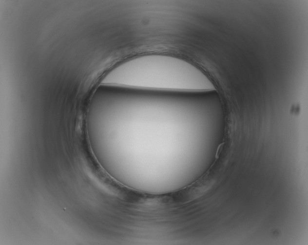 X0000111610072200907171049