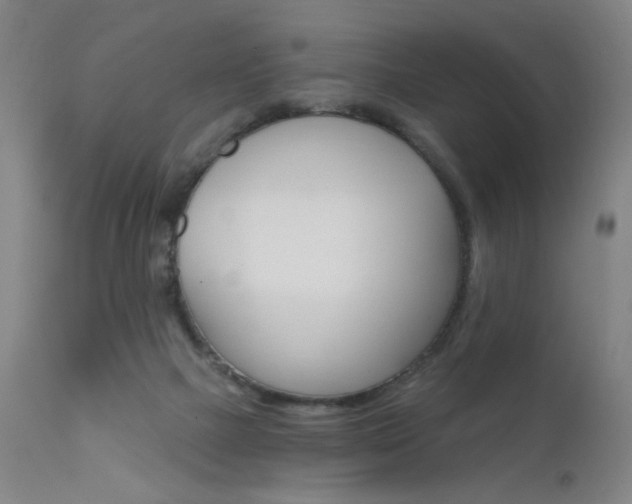 X0000111610073200907171049