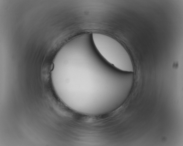 X0000111610074200907171049