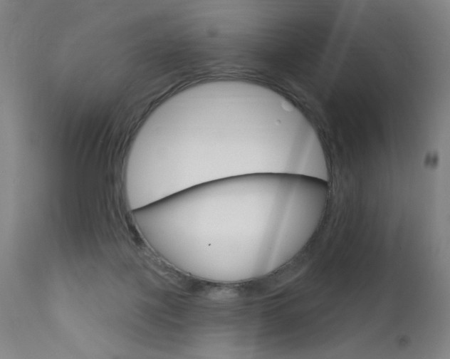 X0000111610075200907171049