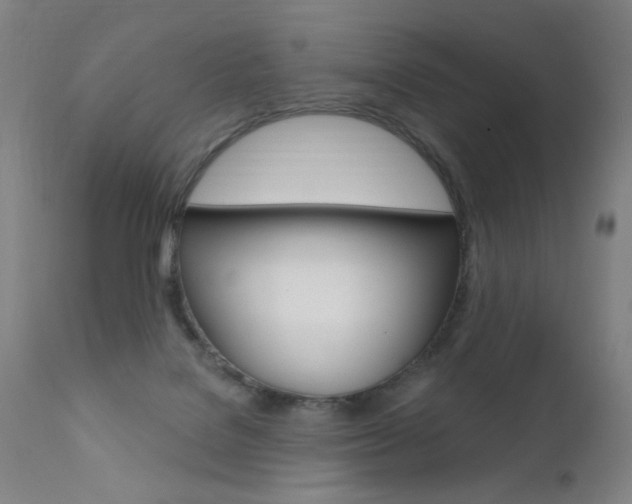 X0000111610076200907171049