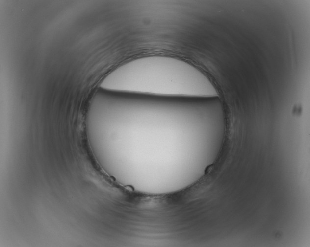 X0000111610077200907171050