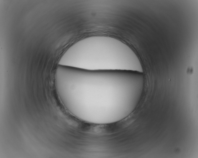 X0000111610078200907171050