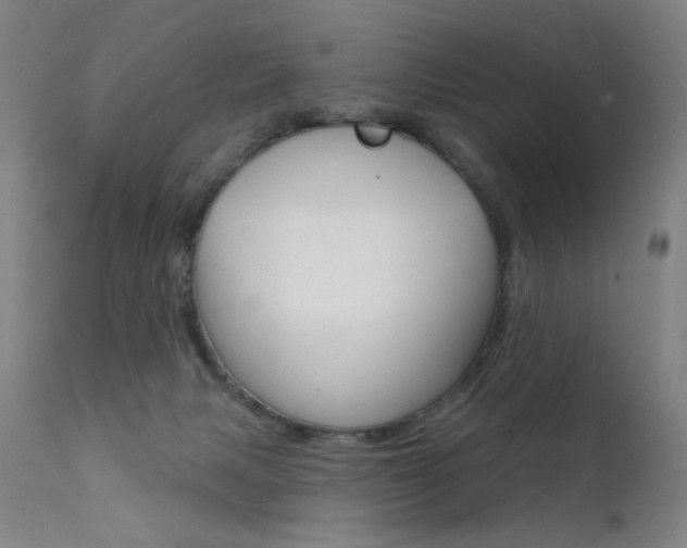 X0000111610079200907171050