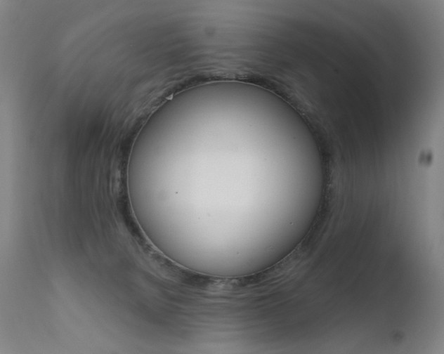 X0000111610080200907171050