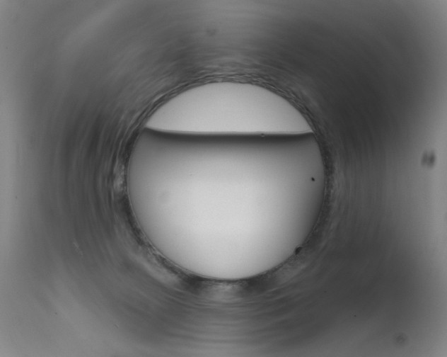 X0000111610081200907171050