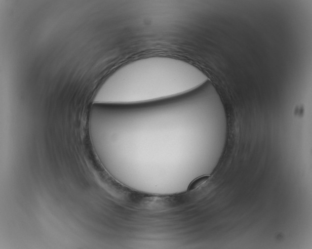 X0000111610082200907171050
