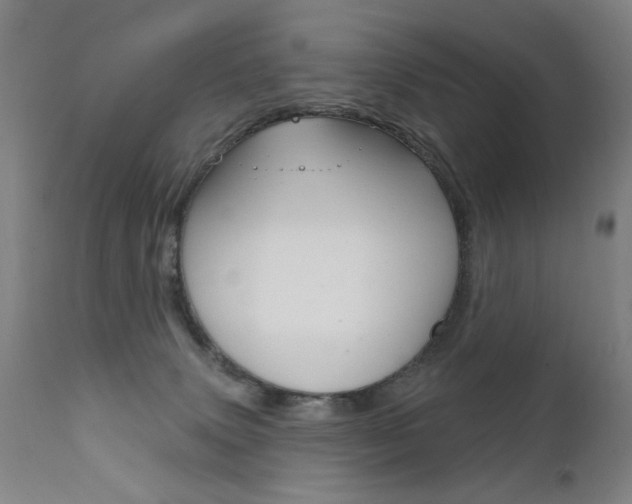 X0000111610083200907171050