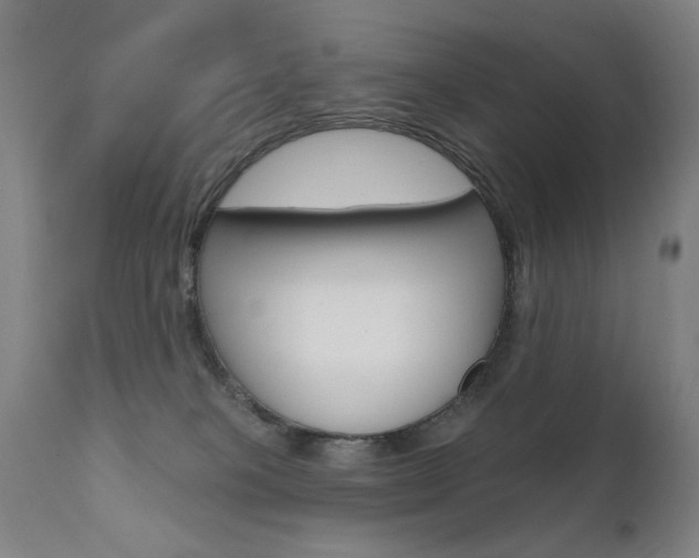 X0000111610085200907171050