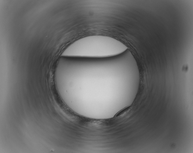 X0000111610086200907171050
