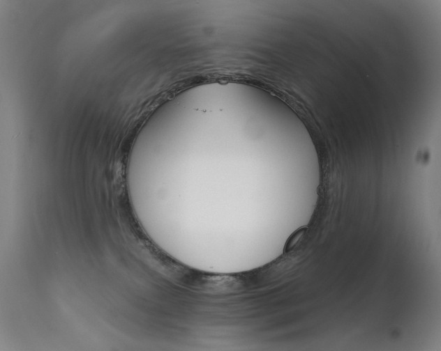 X0000111610087200907171050